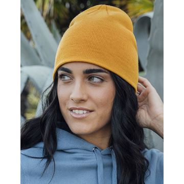 AT102 | Holly Beanie | Atlantis